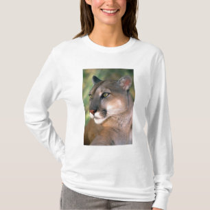 T-shirts Puma, Califórnia