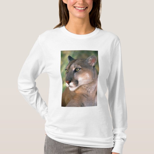 T-shirts Puma, Califórnia (Frente)