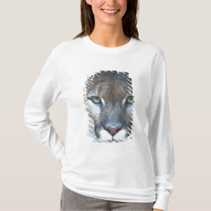 T-shirts Puma, leão-da-montanha, pantera-da-flórida, Puma