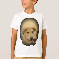 Puppy Love: Melhor Amigo do Homem