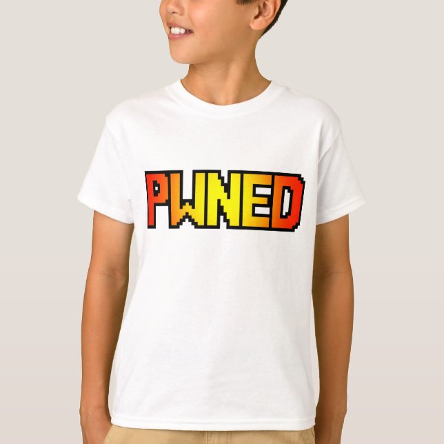 T-SHIRTS PWNED (Frente)