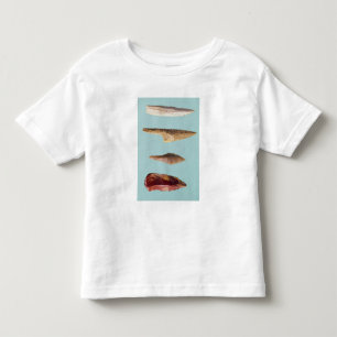 T-shirts Quatro ferramentas do sílex