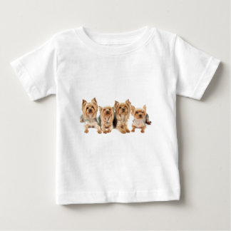 T-shirts Quatro yorkies