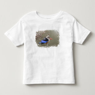 T-shirts Quênia. Close-up do martim-cinzento