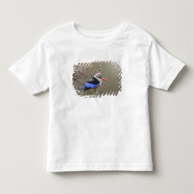 T-shirts Quênia. Close-up do martim-cinzento (Frente)
