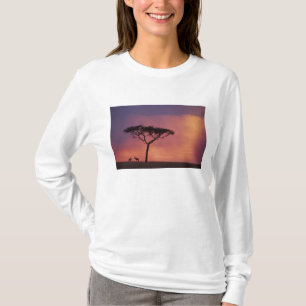T-shirts Quênia: Parque Nacional Masai Mara, Pôr do sol.