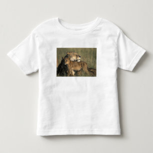 T-shirts Quênia, Reserva de Caça Masai Mara, Leoa