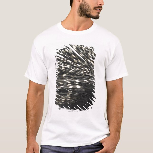 T-shirts Quills do porco- (Frente)