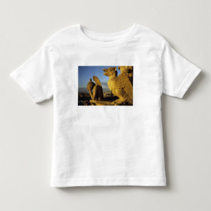 T-shirts Quimera, Catedral de Notre-Dame, Paris, França