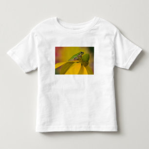 T-shirts Rã-árvore do Pacífico em flores no nosso jardim