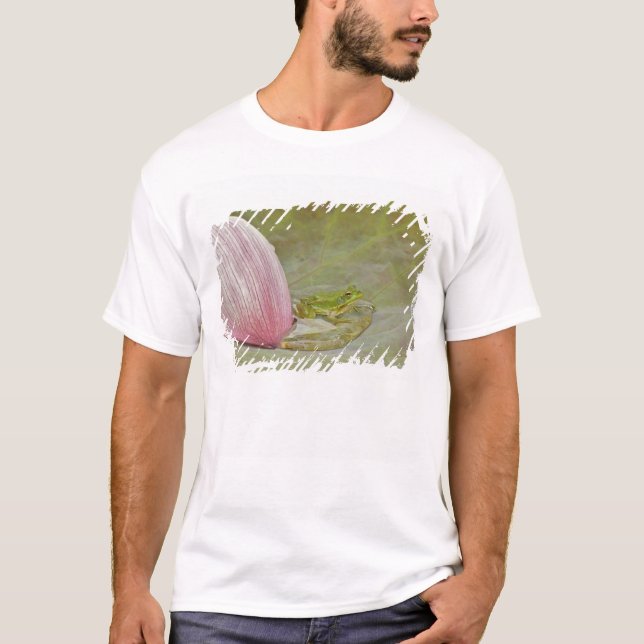 T-shirts Rã e pétala de flor de lótus, China, (Frente)