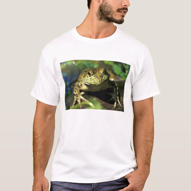T-shirts Rã-touro. (Frente)