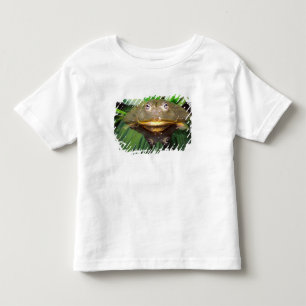 T-shirts Rã-Touro-Africana, Pyxicephalus 2