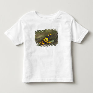 T-shirts Rã-venenosa-de-banda-amarela Dendrobates
