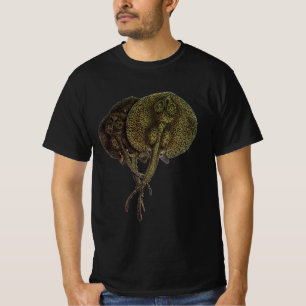 T-shirts Raias, Raias Marinhas, Animais Marinhos Antigos