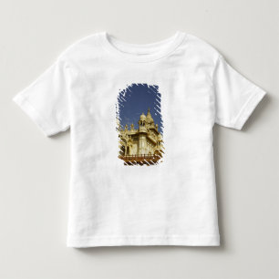 T-shirts Rajasthan, Índia Uma mulher em pé em um antigo