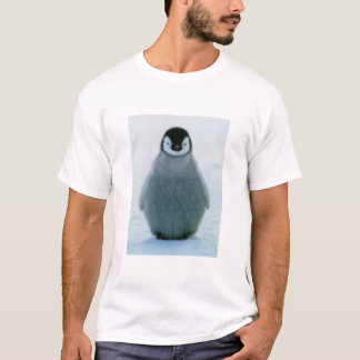 T-shirts Ralph
