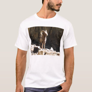 T-shirts Ram dos carneiros de Bighorn perto das rochas em