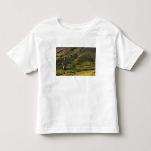 T-shirts Rano Raraku, Rapa Nui, Ilha de Páscoa, Chile (Frente)