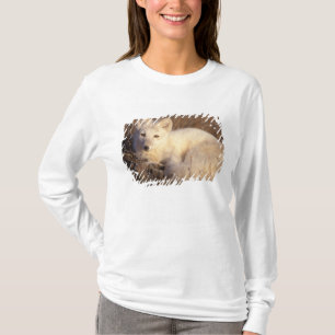 T-shirts raposa ártica, Alopex lagopus
