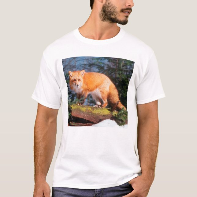 T-shirts Raposa Vermelha em um tronco (Frente)