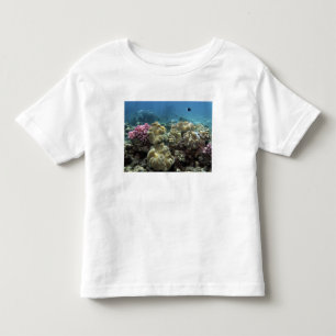 T-shirts Recife Coral, Agincourt, Grande Barreira de Coral,