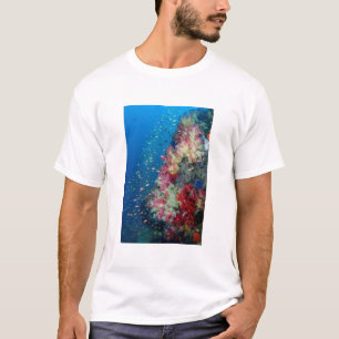 T-shirts Recife de coral submarino, Indonésia