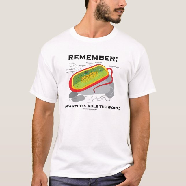 T-shirts Recorde: Os Prokaryotes ordenam o mundo (Frente)