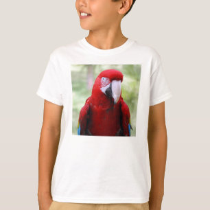 T-shirts red-macaw10x10