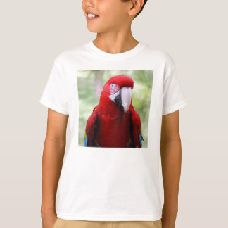 T-shirts red-macaw10x10