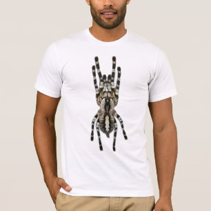 T-shirts Regalis de Poecilotheria (Ornamental indiano)