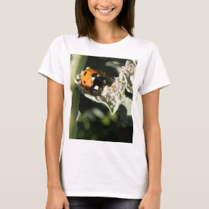 T-shirts Reino Unido 7 Spot Ladybug Damas T Shirt