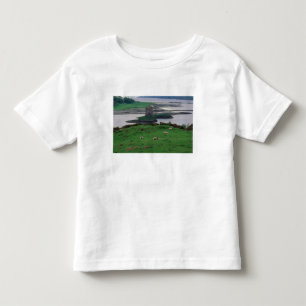 T-shirts Reino Unido, Escócia, Ilha de Skye, velho