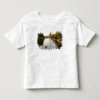 Remadores no lago do Lincoln Park, Chicago, Illino