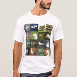 T-shirts Remendo de Foto Quadrado - Pássaros