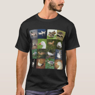 T-shirts Remendo Fotográfico Quadrado - Aves