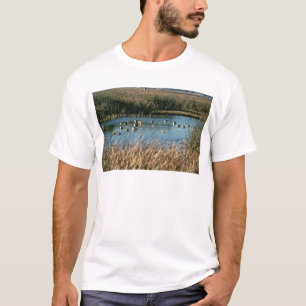T-shirts Reserva natural do nacional de Sacramento