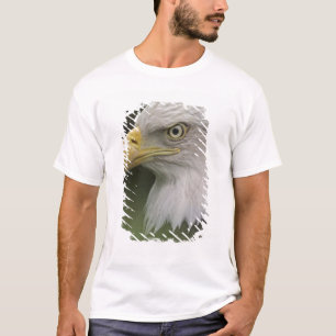 T-shirts Retrato de Águia Americana Adulta, Haliaeetus
