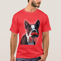Retrato de Boston Terrier com gravata vermelha de 