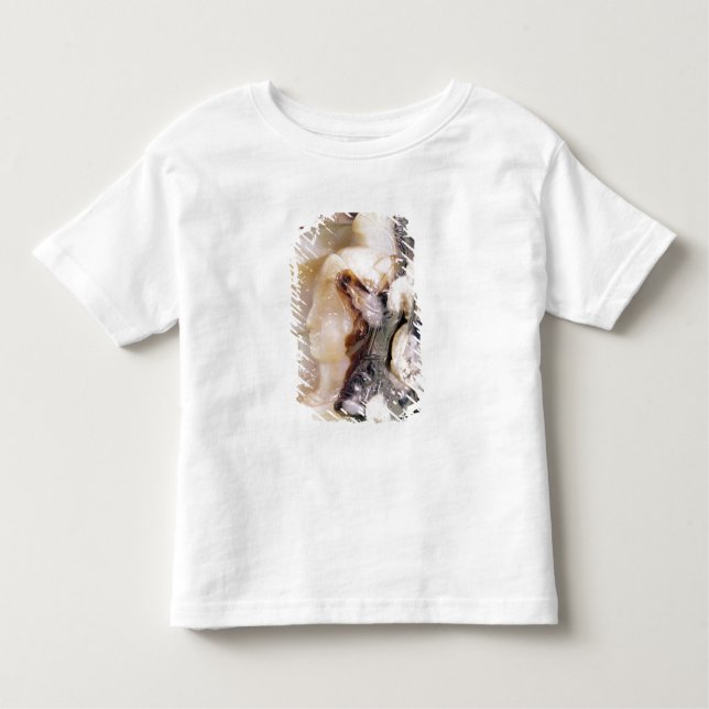 T-shirts Retrato do cameo de Alexander (Frente)