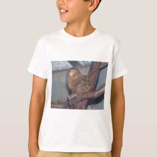 T-shirts Retrato do Marmoset de pigmeu