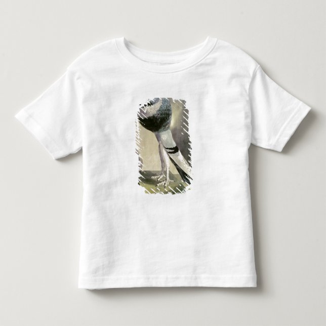 T-shirts Retrato do pombo do Pouter (Frente)