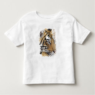 T-shirts Retrato do Tigre Real Bengala, Ranthambhor