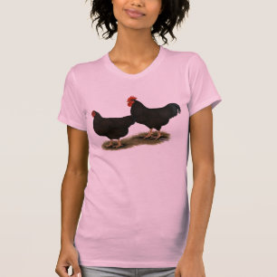 T-shirts Rhode Island Red Bantams