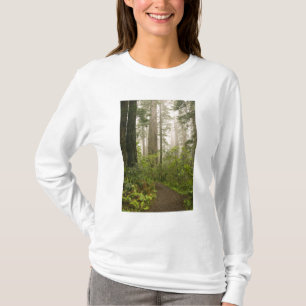 T-shirts Rhododendron florescendo entre as sequóias da cost