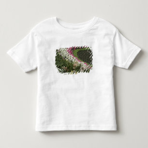 T-shirts Rhododendron (Rhododendron catawbiense) Charneca