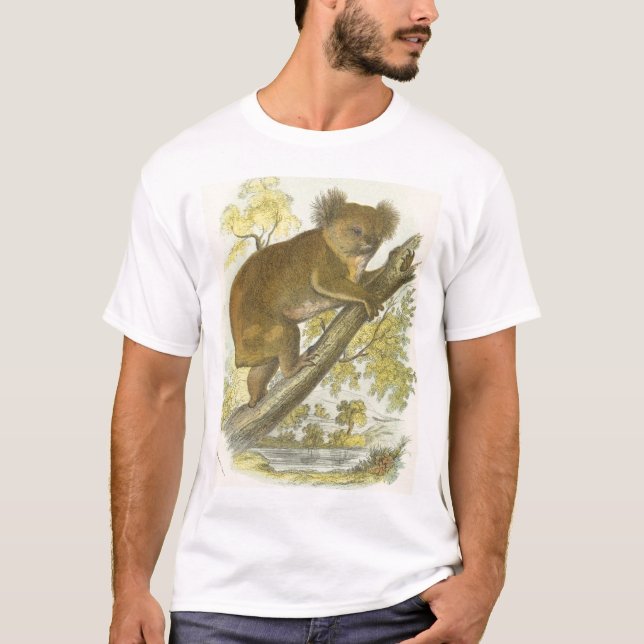 T-shirts Richard Lydekker - Koala (Frente)