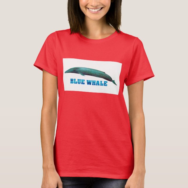 T-shirts Ringer-T-Shirt (Frente)