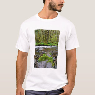 T-shirts Rio em floresta verde, Oregon