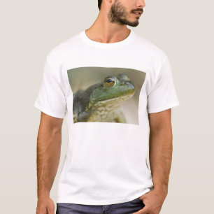 T-shirts Rio Nacional Buffalo, Noroeste do Arkansas